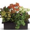 A lush mix of potted foliage and cheerful blooms creates a fresh