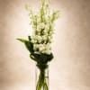 An elegant contemporary floral arrangement featuring tall white delphinium stems designed in
