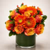A vibrant luxury arrangement featuring fiery orange gerbera daisies, golden sunset roses