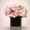 An exquisite luxury arrangement featuring soft blush cymbidium orchids elegantly gathered in