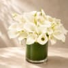 A timeless and sophisticated arrangement featuring elegant white calla lilies artfully gathered