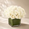 A stunning monochromatic arrangement showcasing luxurious white roses gathered in a modern