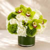 A breathtaking luxury arrangement featuring vibrant green cymbidium orchids, lush white hydrangeas