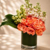 A soft and cheerful floral arrangement featuring radiant coral roses accented with