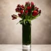 Moody, dramatic, and undeniably sophisticated, Midnight Velvet Tulips features luxurious deep burgundy