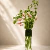 Soft, airy, and effortlessly artistic, Blush Whisper Tulips is a modern luxury