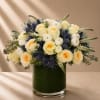 Elegant, refined, and artfully textured, Ivory &amp; Indigo Luxe is a sophisticated