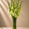 Elegant, modern, and effortlessly refined, Celadon Bloom is a luxurious tall arrangement