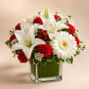 White lilies and red carnations in a clear square vase