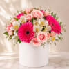 Pink roses and gerbera daisies in a white cylindrical box