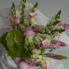 Bouquet of pink lilies, calla lilies, and pale green hydrangeas wrapped in white paper