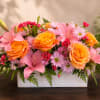 A lively, garden-style flower arrangement that greets the recipient with exuberant spring