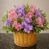 A cheerful cluster of pink and lavender alstroemeria makes an immediate, spring-fresh