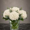 White hydrangea bouquet in a clear glass vase with eucalyptus accents