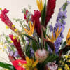 A vibrant celebration of color, texture, and height, our Designer&rsquo;s Choice Tropical