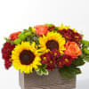 Sunflowers, orange roses, and burgundy daisies in a rectangular wooden box