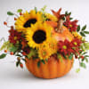 Pumpkin-shaped arrangement with sunflowers and red daisies
