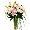 A timeless arrangement of one dozen premium white roses paired with elegant