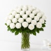 Make an unforgettable statement with this breathtaking bouquet of 36 premium long-stem
