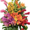 Bring the beauty of the tropics indoors with this vibrant floral arrangement