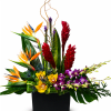 A striking contemporary arrangement featuring vibrant Birds of Paradise, bold red ginger