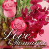 Send a romantic gesture with a beautiful bouquet of flowers! Your loved