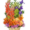Send best wishes with a beautiful and uplifting floral arrangement. This year