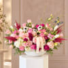 Pink and white rose arrangement in a white bowl vase with butterfly accents