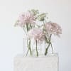 Pale pink flowers arranged in clear glass vases on a white pedestal.