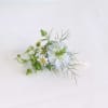 Small white flower arrangement with airy greenery on a white background