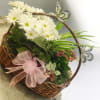 Basket of white daisies with pink flowers and a ribbon bow