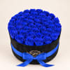 Round box of vivid blue roses with a blue ribbon bow