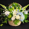 Basket arrangement of white and blue flowers with green accents