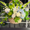 Basket arrangement with white lilies, roses, blue hydrangea, and green mums