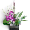 Purple orchids and pale roses arranged in a wooden box