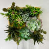 Square succulent arrangement in a wooden frame with mixed green rosettes and trailing plants