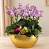 Pink orchids in a gold bowl planter with small bird figurines