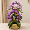 Purple orchid arrangement in a gold bowl vase