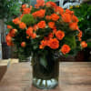 Orange roses arranged in a clear glass vase with green accents