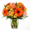 Bouquet of orange and pink flowers in a clear glass vase