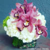 Pink orchids arranged with white hydrangeas in a glass vase