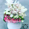 White orchids and pink carnations arranged in a white vase