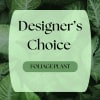 Designer’s Choice foliage plant graphic with green leaves background