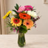 Colorful gerbera daisy bouquet in a clear glass vase
