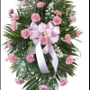 Shades of Pink ( pick feminine or masculine color)  that means