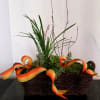 Mixed succulent arrangement in a woven basket with orange ribbon loops