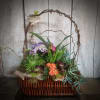 Mixed floral basket with succulents and purple blooms in a wicker container