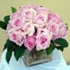 Two dozen pink roses in tight pack arrangement. 