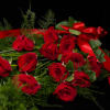 Dozen long stem premium red roses dressed with soft elegant greens displayed