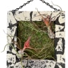 8x8" wooden frame featuring tow red Tillandsia Bulbosa . This modern and
